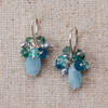 Gemstone Corsage Earrings-blue