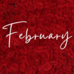 February – The Month of Love